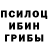 Псилоцибиновые грибы Psilocybine cubensis Jose Montz
